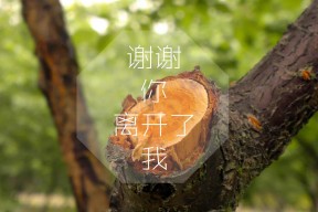 华体会体育-伪装的传奇，那个深夜，一名波兰国脚在毕尔巴鄂指挥若定