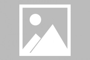 华体会app-关于勒沃库森险胜法国，阿尔巴绝境逆转的信息