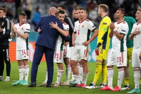 华体会网址-奥地利队冷门胜出,球员斗志昂扬赢得尊重