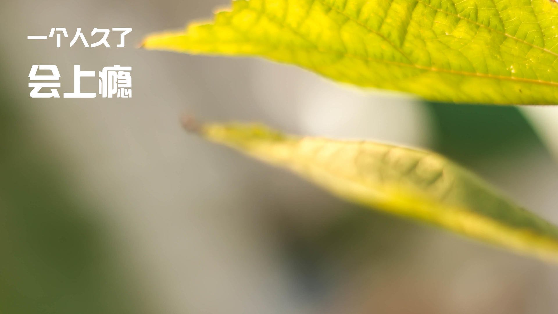 华体会app-唯一性胜利,楚阿梅尼爆破防线,芬兰补时绝杀拉齐奥 第1张 华体会app-唯一性胜利,楚阿梅尼爆破防线,芬兰补时绝杀拉齐奥 第1张